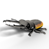 PUZZLE 3D STAG BEETLE 114 EUGY