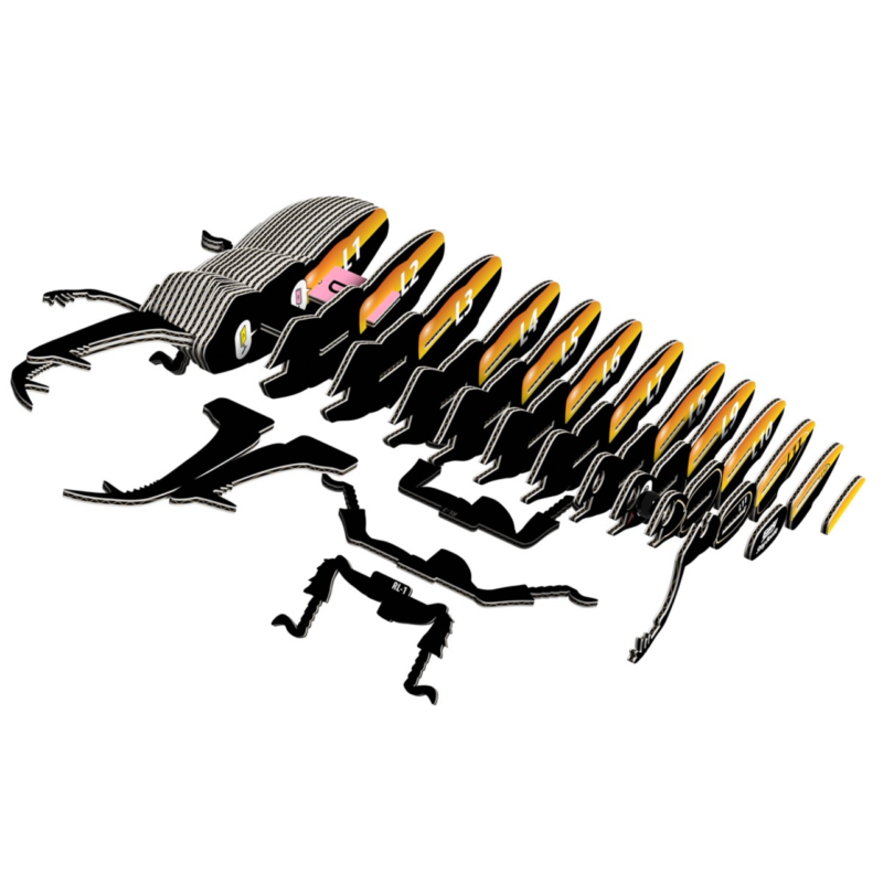 PUZZLE 3D STAG BEETLE 114 EUGY