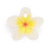 MORDEDOR HAWAII THE FLOWER