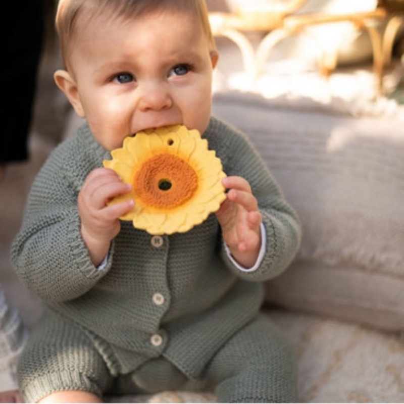 MORDEDOR SUN THE SUNFLOWER