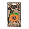 MORDEDOR CATHY THE CARROT