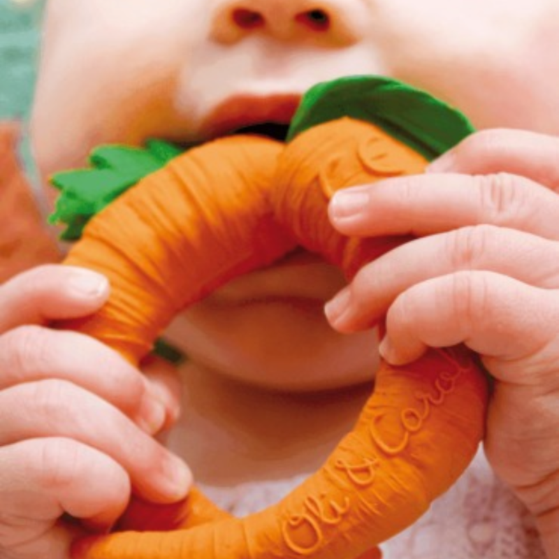 MORDEDOR CATHY THE CARROT