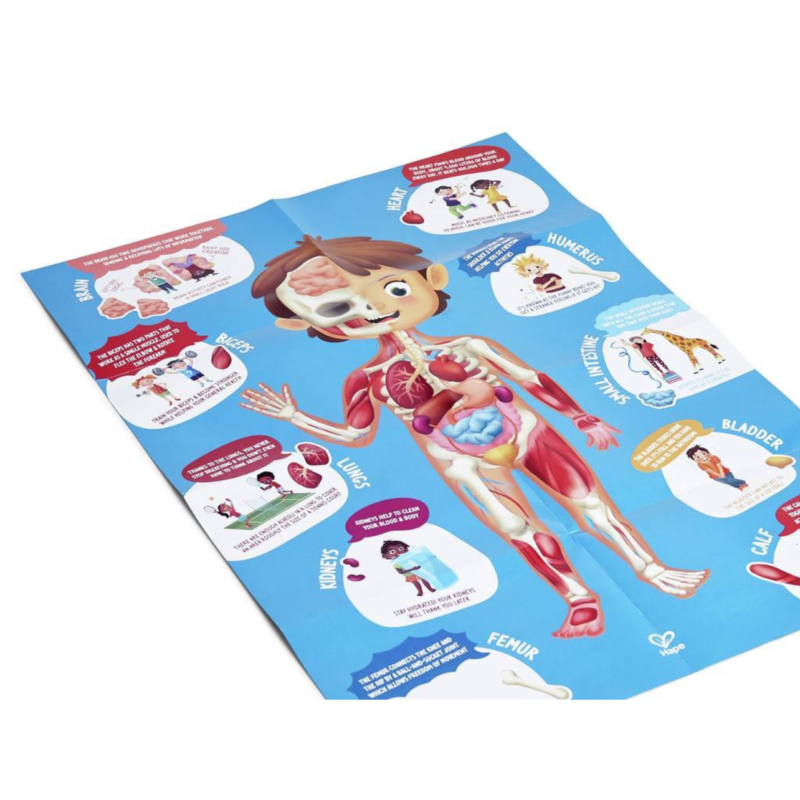 PUZZLE CUERPO HUMANO HAPE