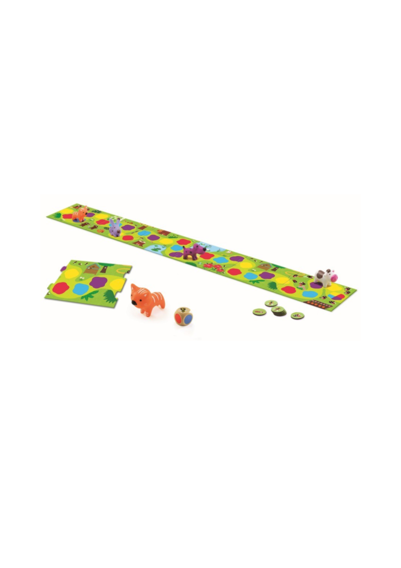 LITTLE CIRCUIT DJECO