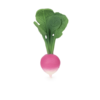 MORDEDOR RAMONA THE RADISH OLI&CAROL