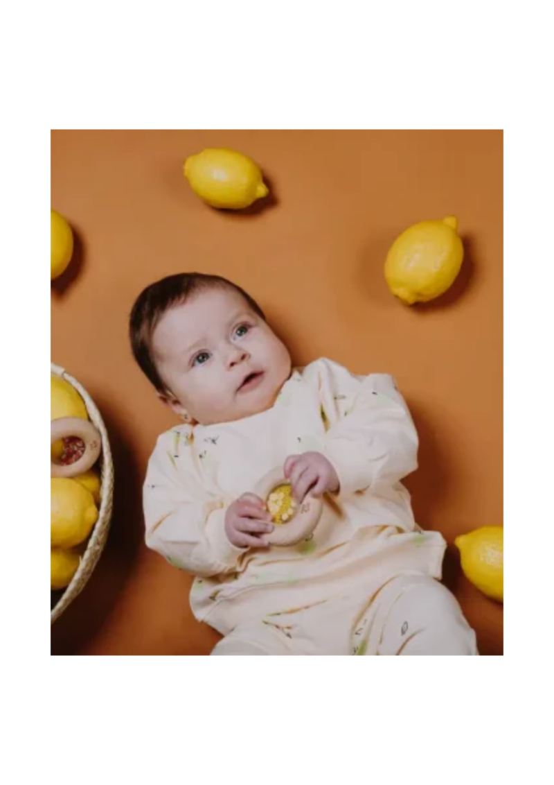 DONUT SENSORIAL LEMONS PETIT BOUM