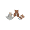 CAJA REGALO FOREST FRIENDS LITTLE DUTCH